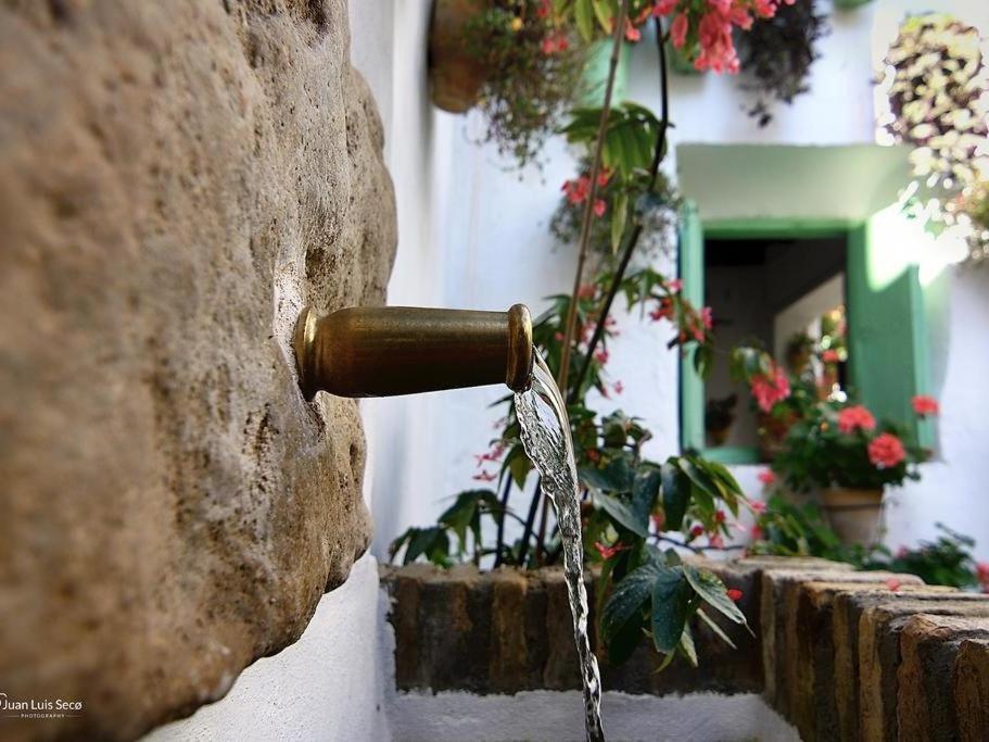 La Casa De La Costurera Appartement Córdoba Buitenkant foto
